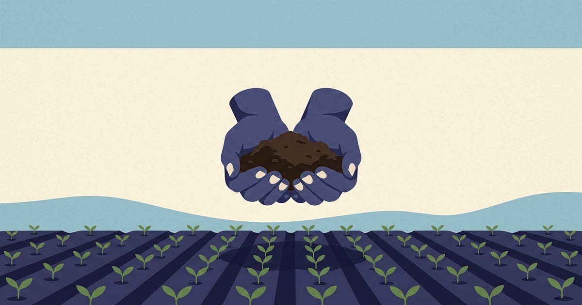 Cupped hands holding dark soil above a field of young seedlings